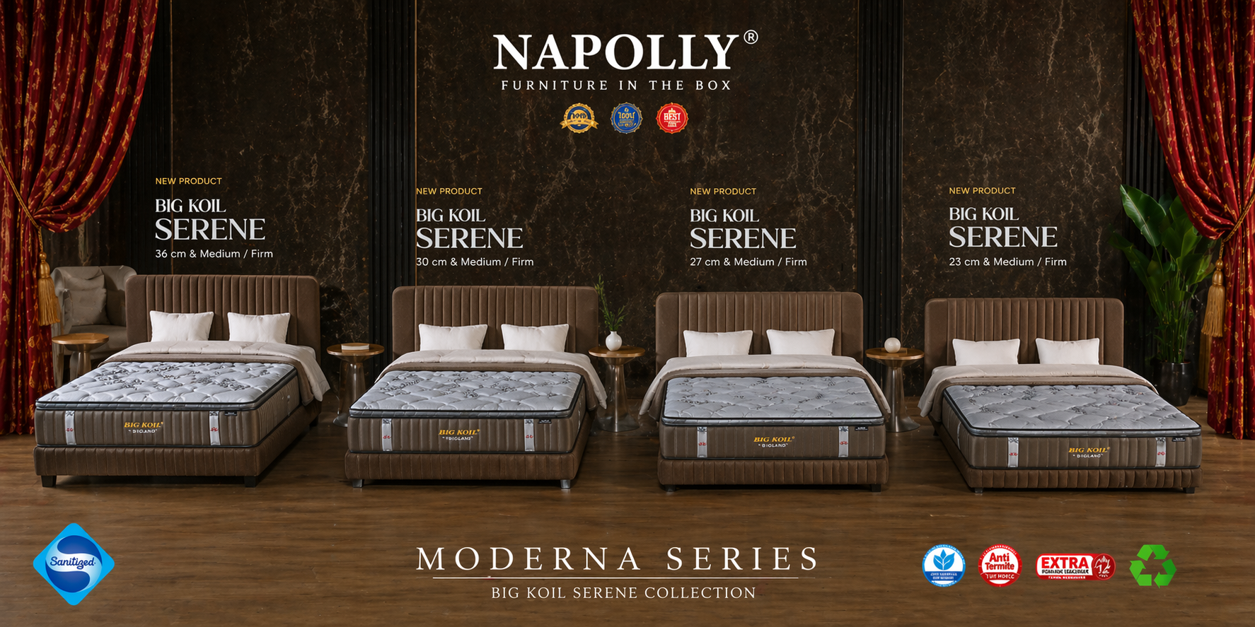 Promo Napolly Bigland